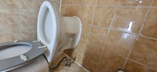 이사대학 이용후기 사진